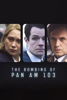 海角社区下载《泛美航空103航班爆炸案 The Bombing of Pan Am 103》免费在线观看