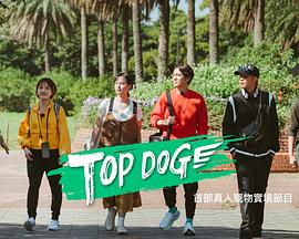 海角社区app《TOP DOG》免费在线观看