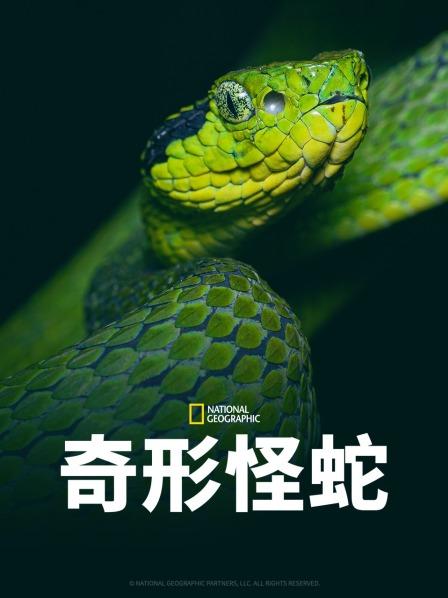 海角社区下载《奇形怪蛇》免费在线观看